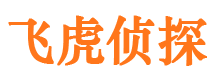 爱辉市私家侦探